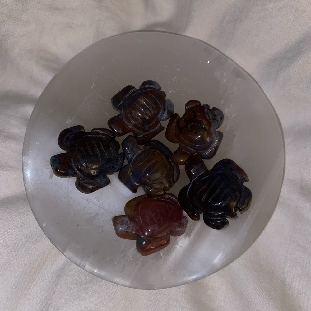 Turtle 🐢 crystals carving Ocean Jaspers